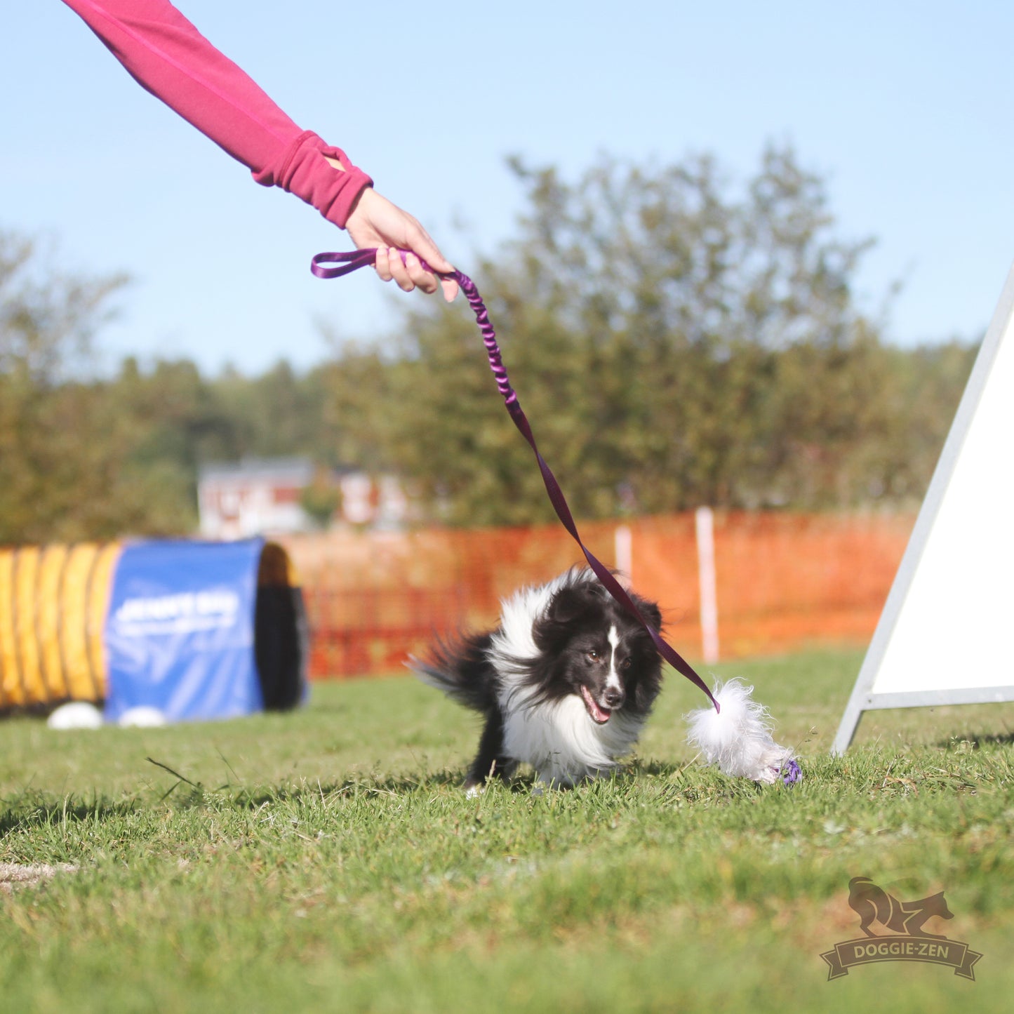 Elastisk fåreskinnsjagerkampis med hol-ee roller str S
