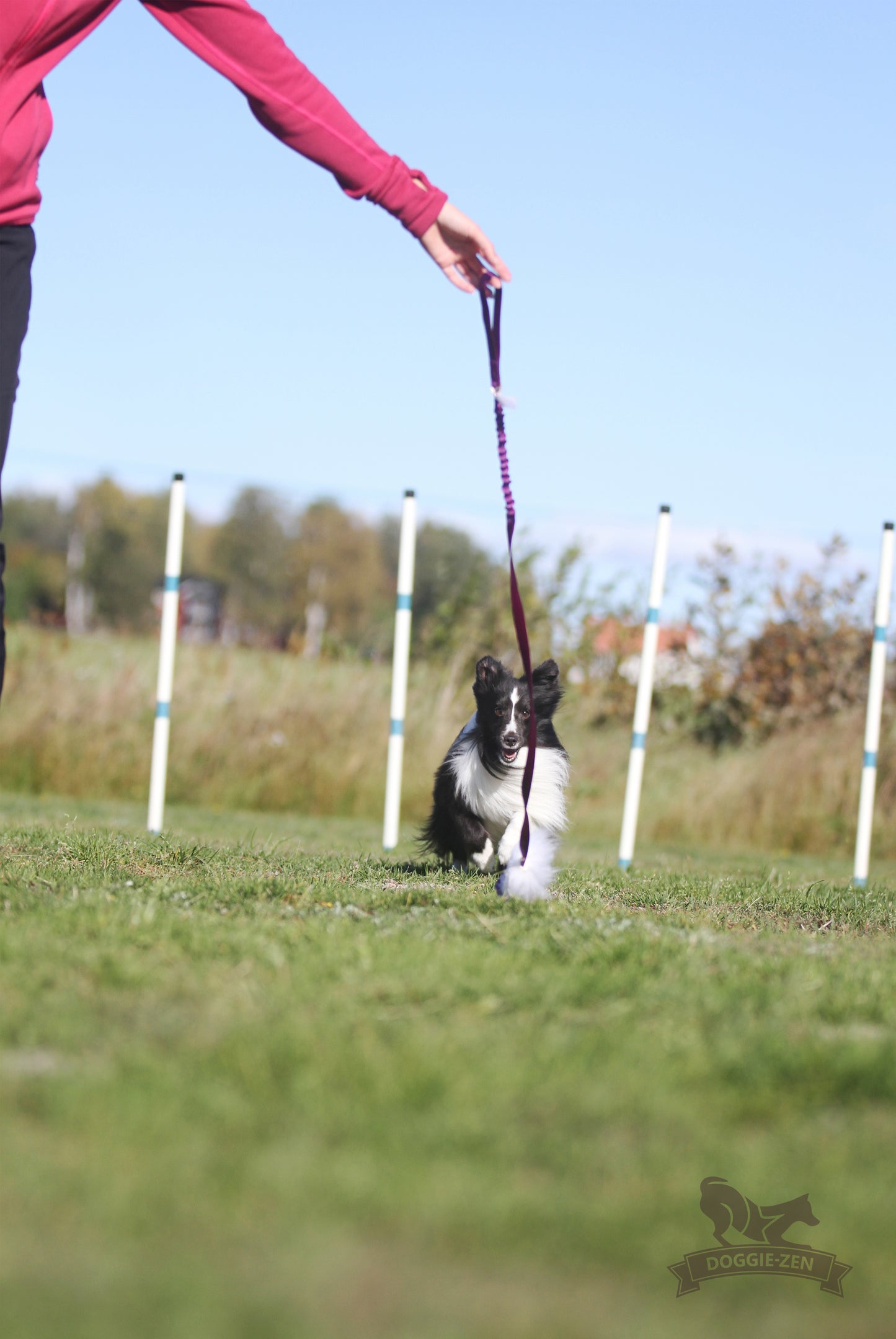 Elastisk fåreskinnsjagerkampis med hol-ee roller str S
