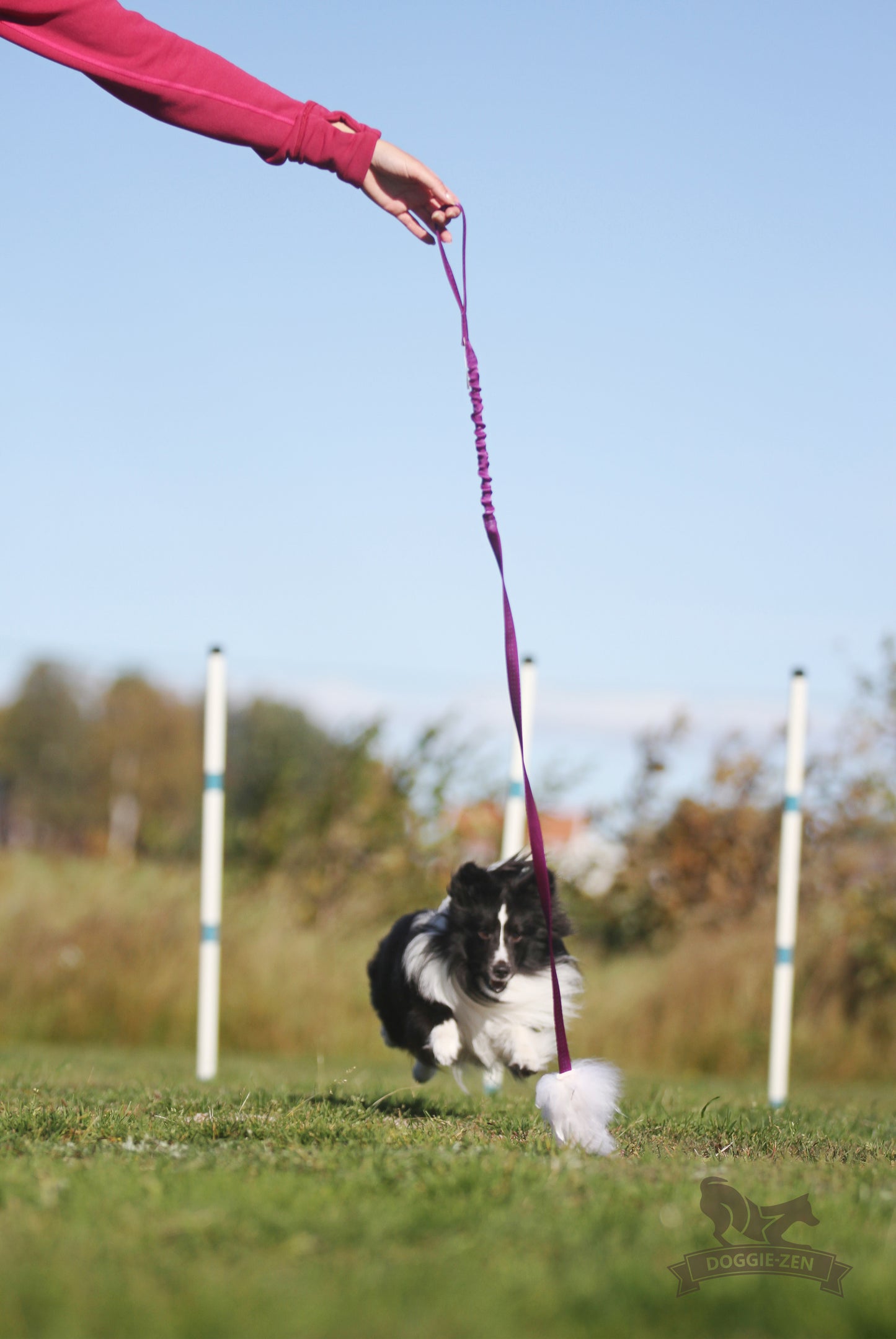 Elastisk fåreskinnsjagerkampis med hol-ee roller str S