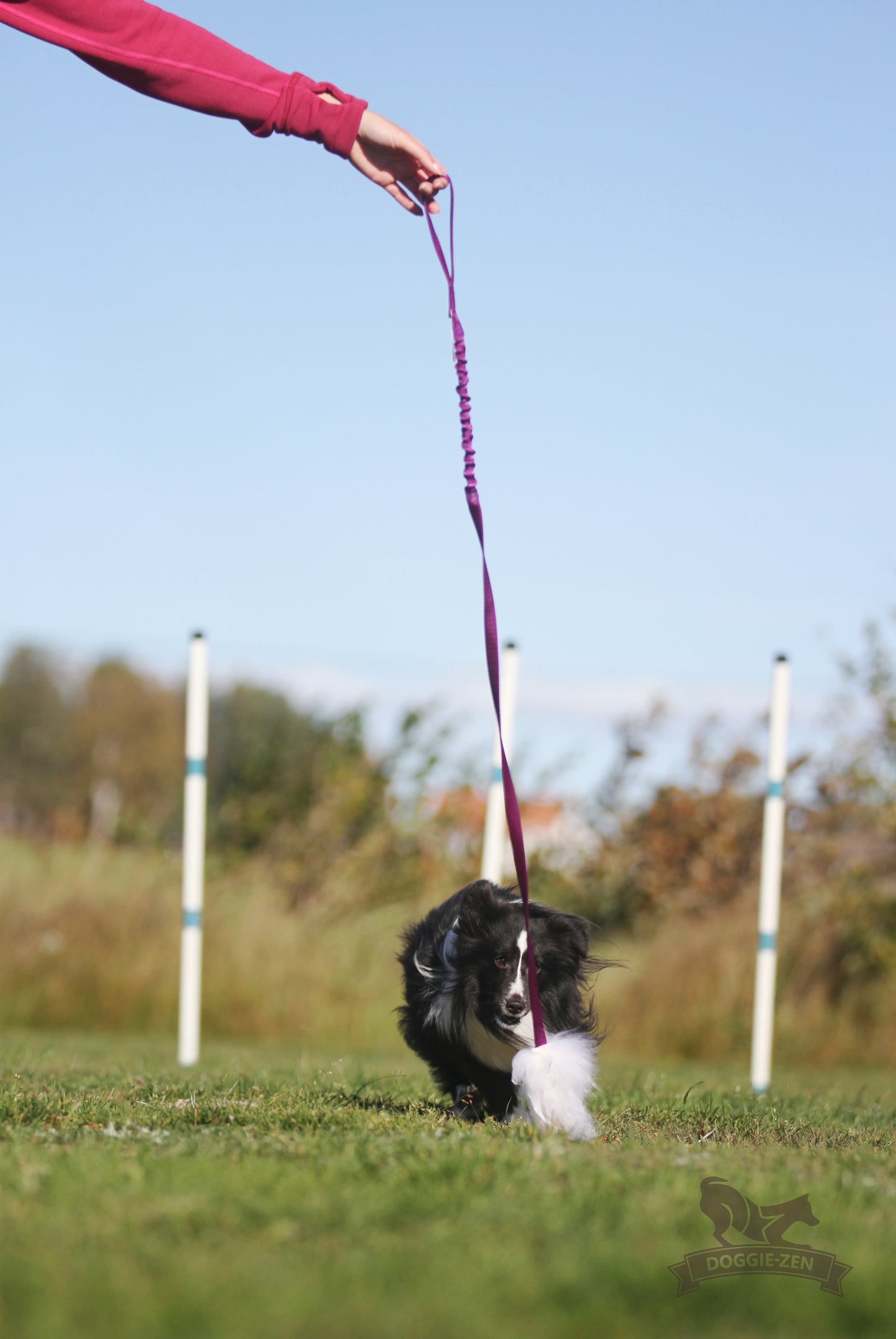 Elastisk fåreskinnsjagerkampis med hol-ee roller str S
