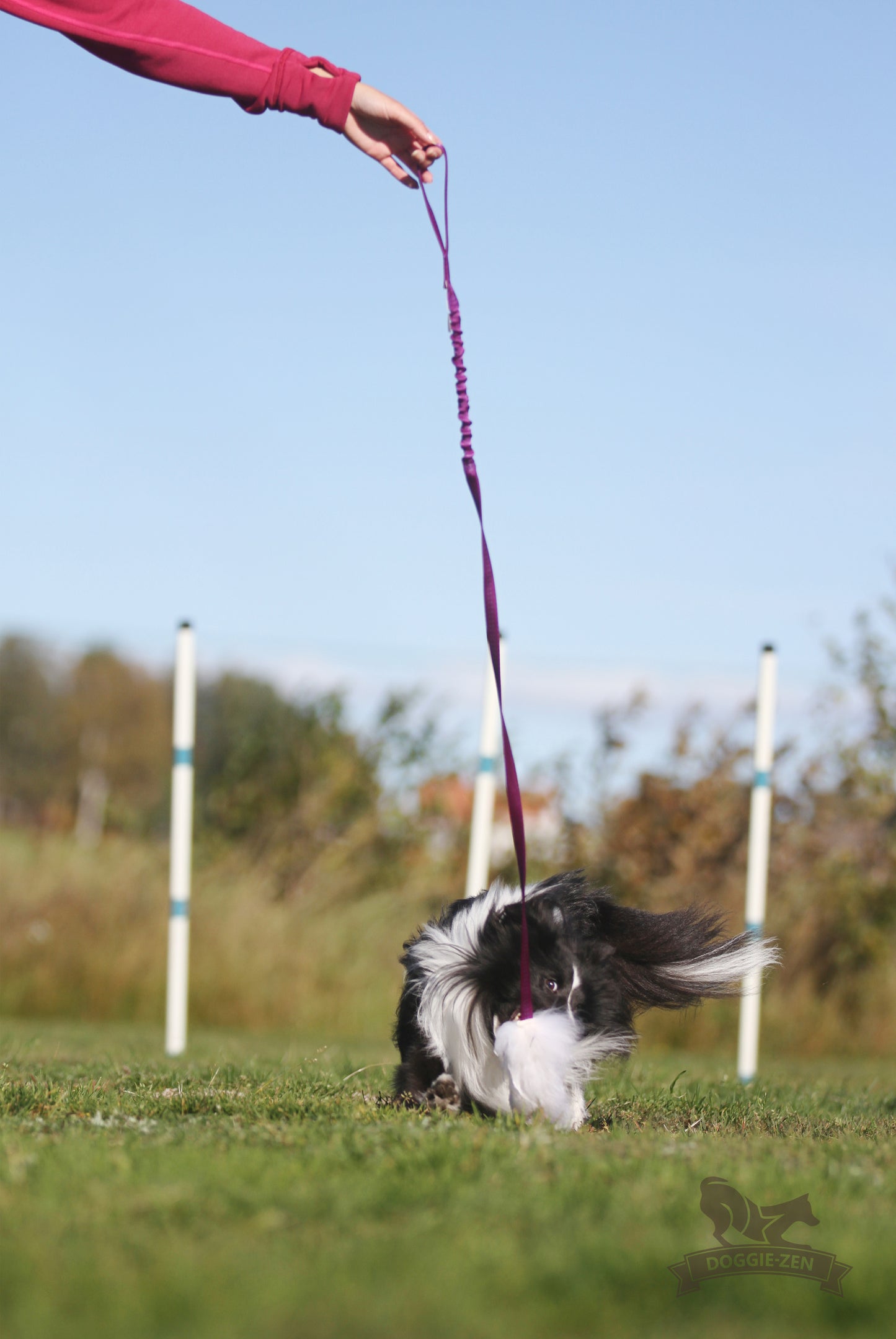 Elastisk fåreskinnsjagerkampis med hol-ee roller str S