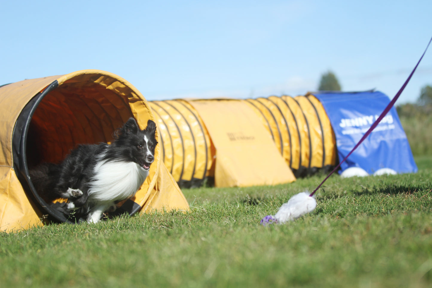 Elastisk fåreskinnsjagerkampis med hol-ee roller str S