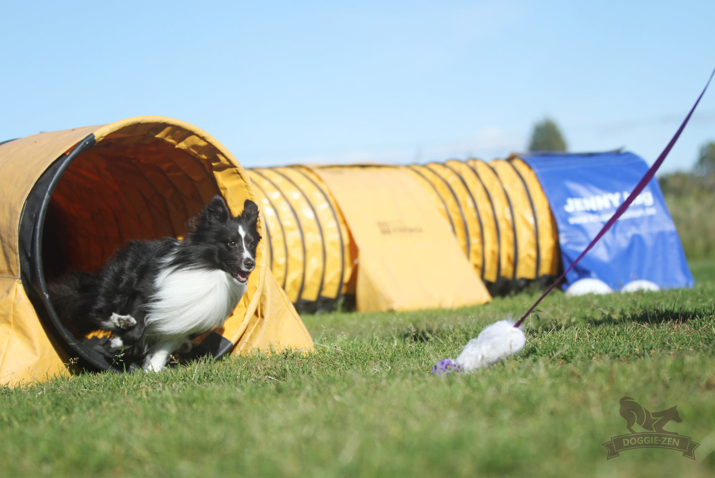 Elastisk fåreskinnsjagerkampis med hol-ee roller str S