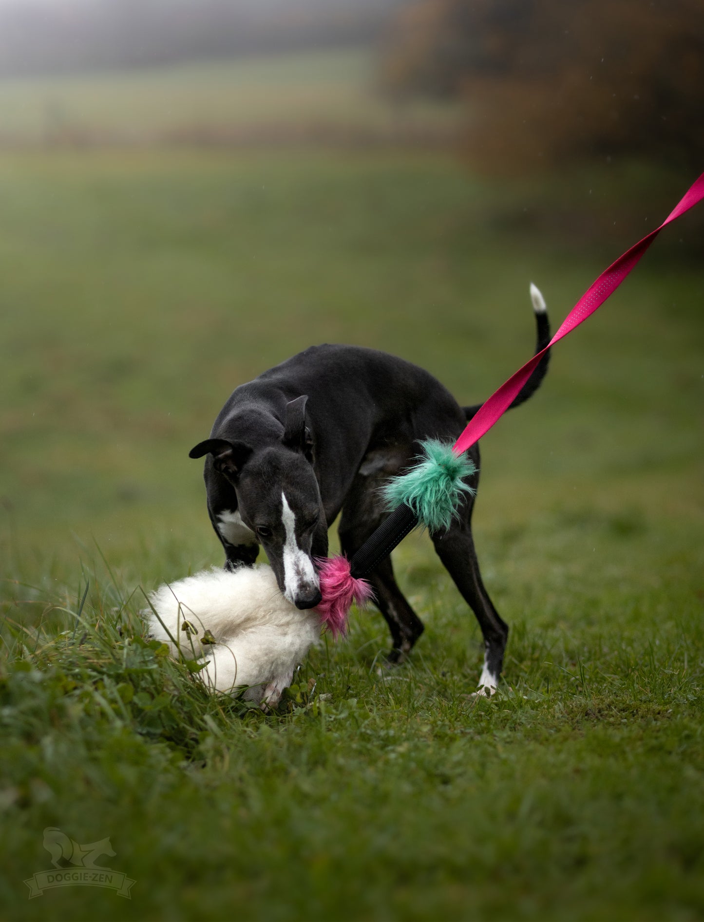 Elastisk pipblackfiskjagerkampis med fåreskinn str L