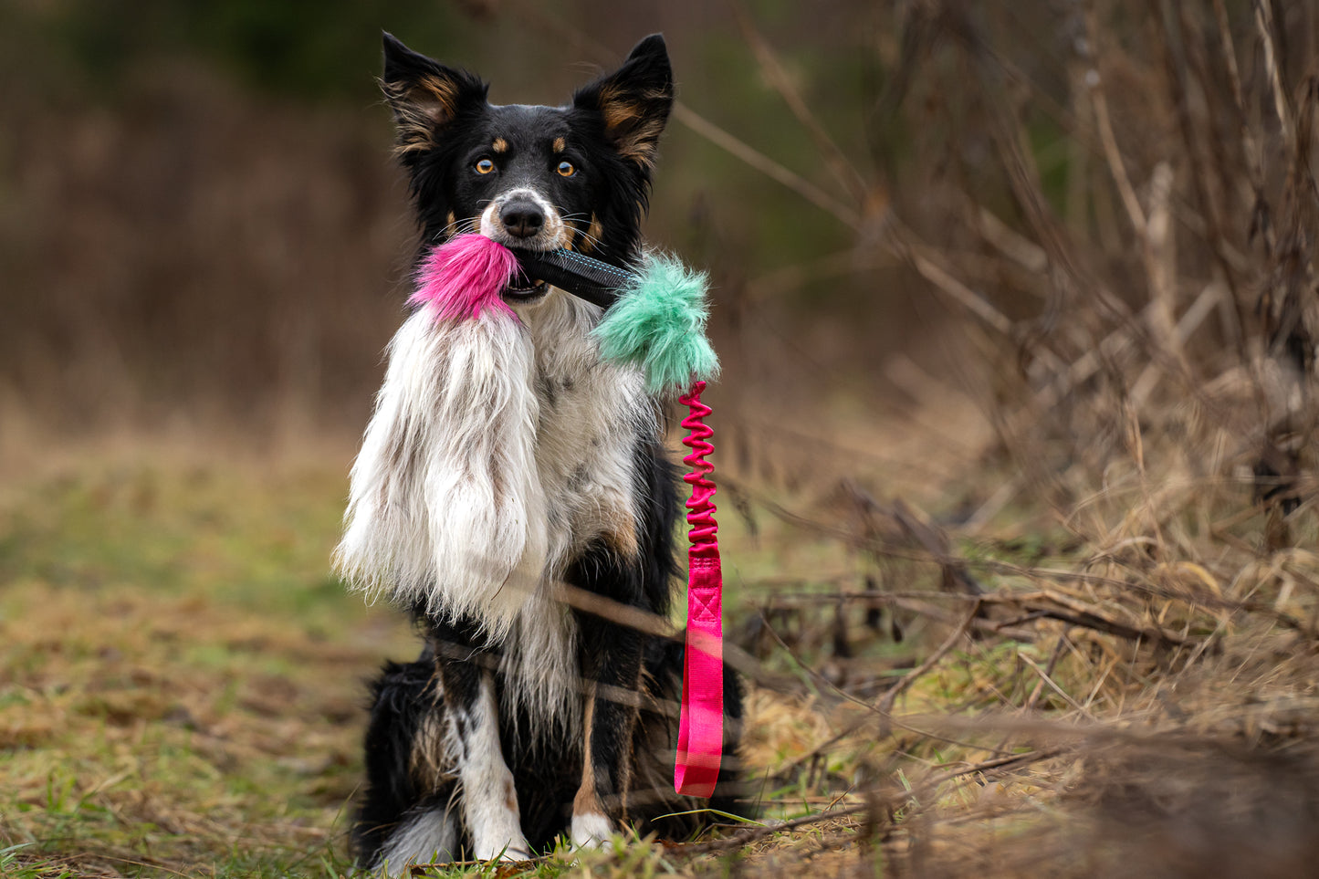 Elastisk Pipblackfiskkampis med fåreskinn