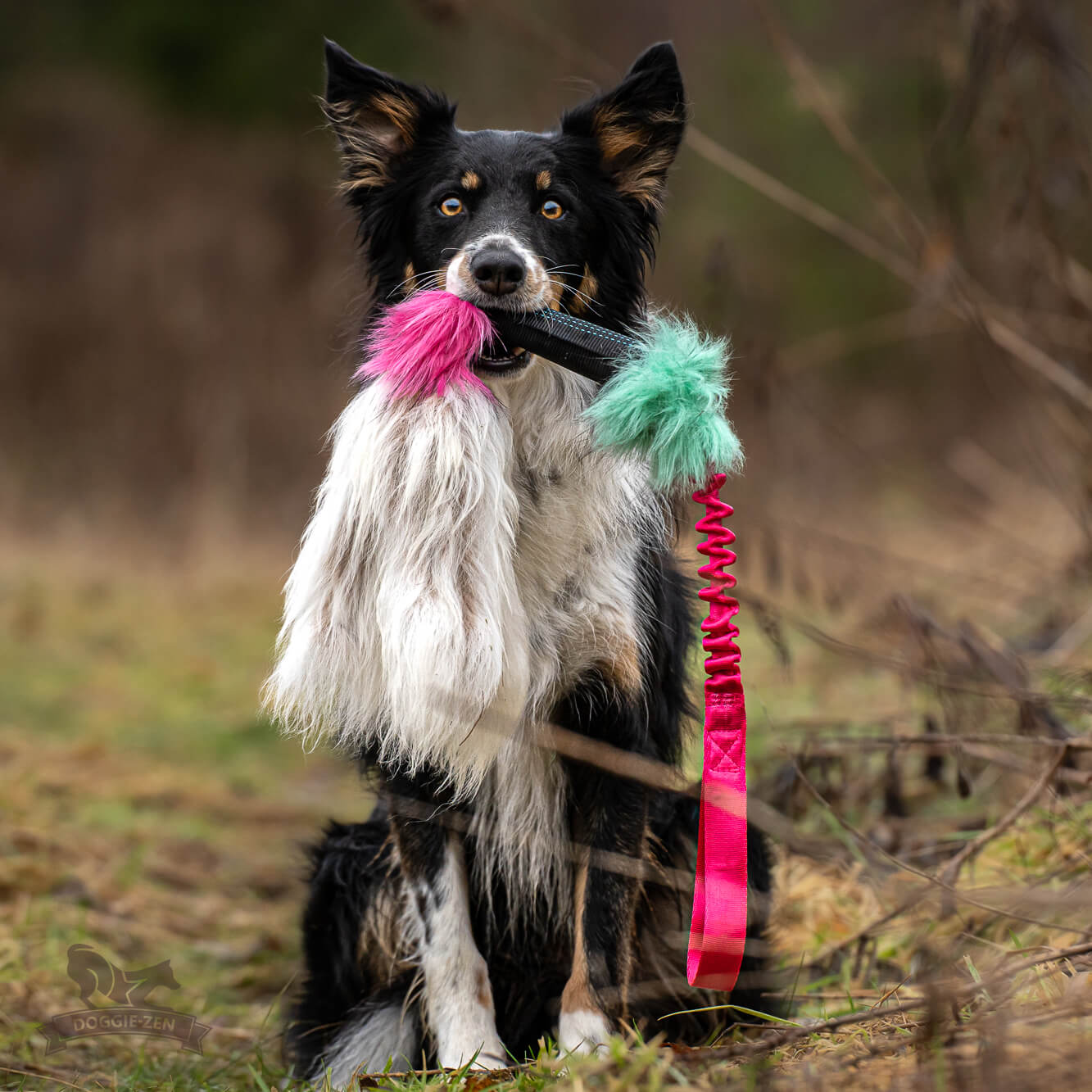 Elastisk Pipblackfiskkampis med fåreskinn