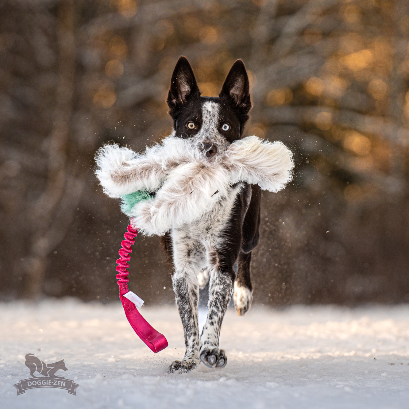 Elastisk Pipblackfiskkampis med fåreskinn