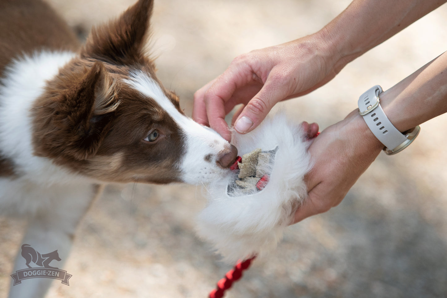 Elastisk belønningsjagerkampis med fåreskinn str S