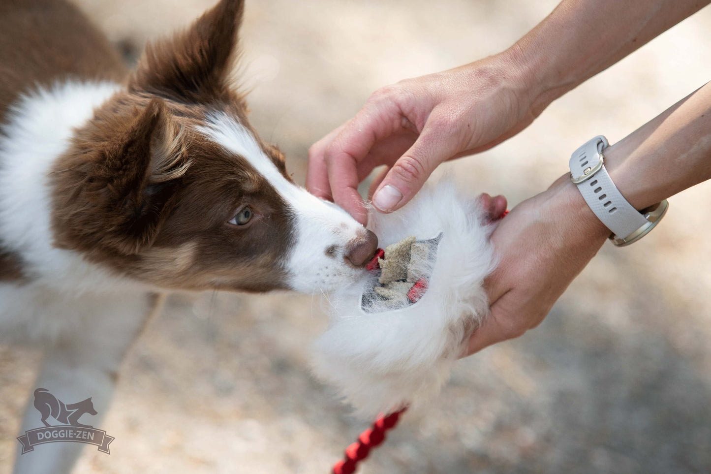 Elastisk belønningsjagerkampis med fåreskinn str S