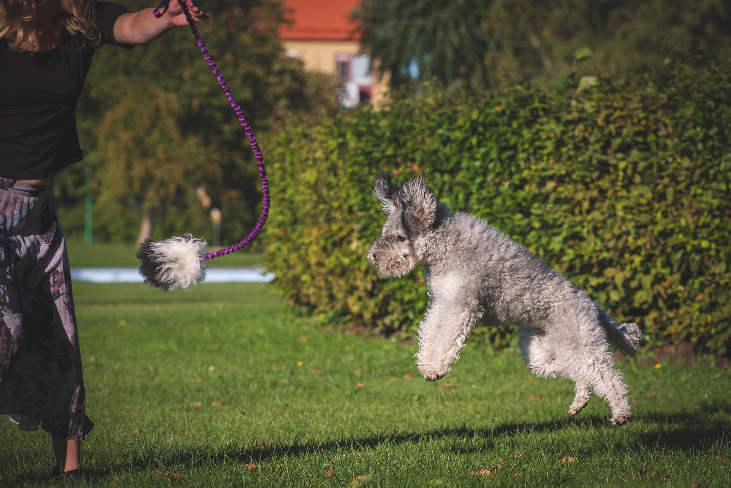 Elastisk belønningsjagerkampis med fåreskinn str S