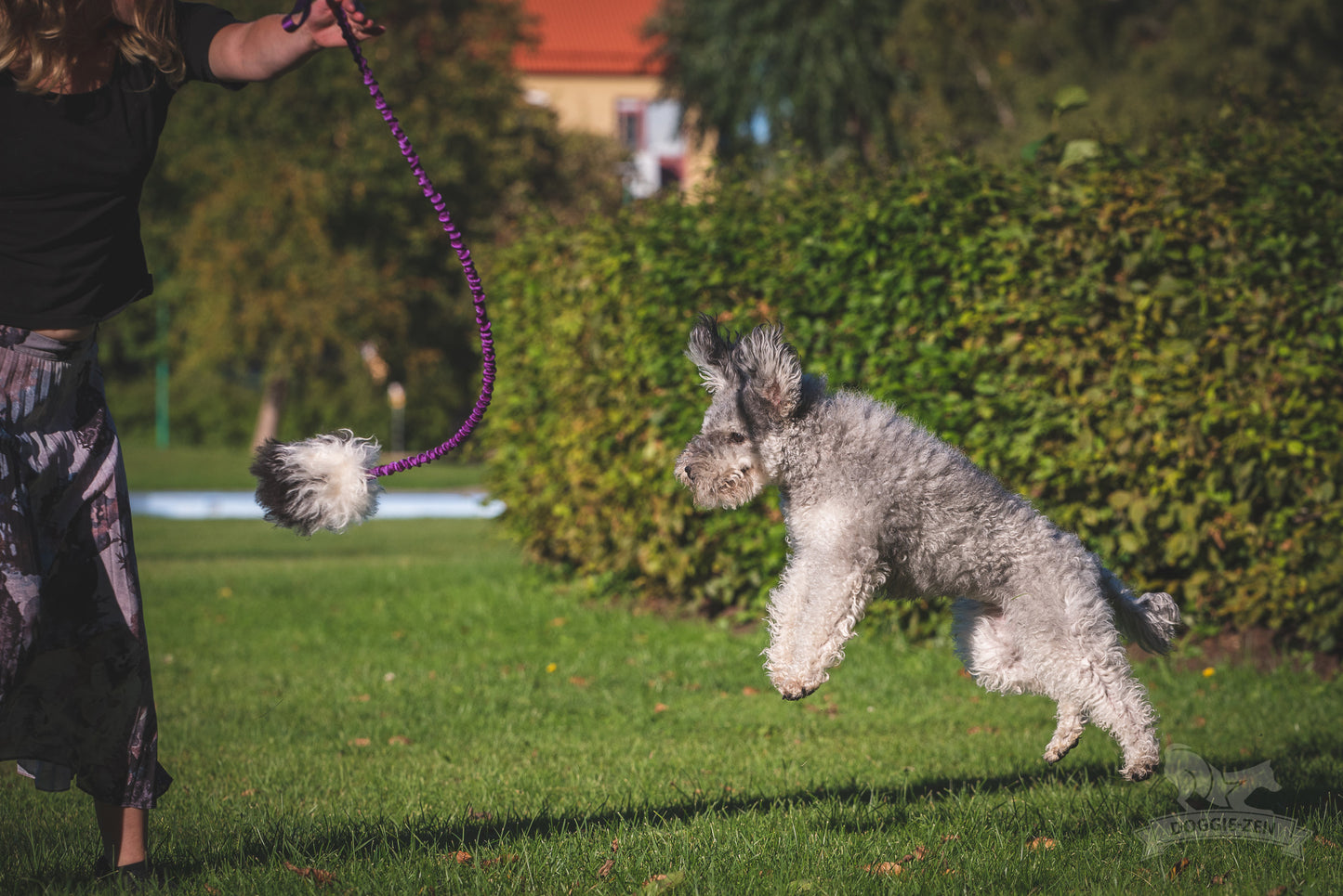 Elastisk belønningsjagerkampis med fåreskinn str S
