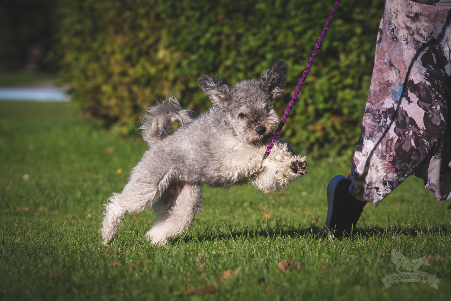 Elastisk belønningsjagerkampis med fåreskinn str S