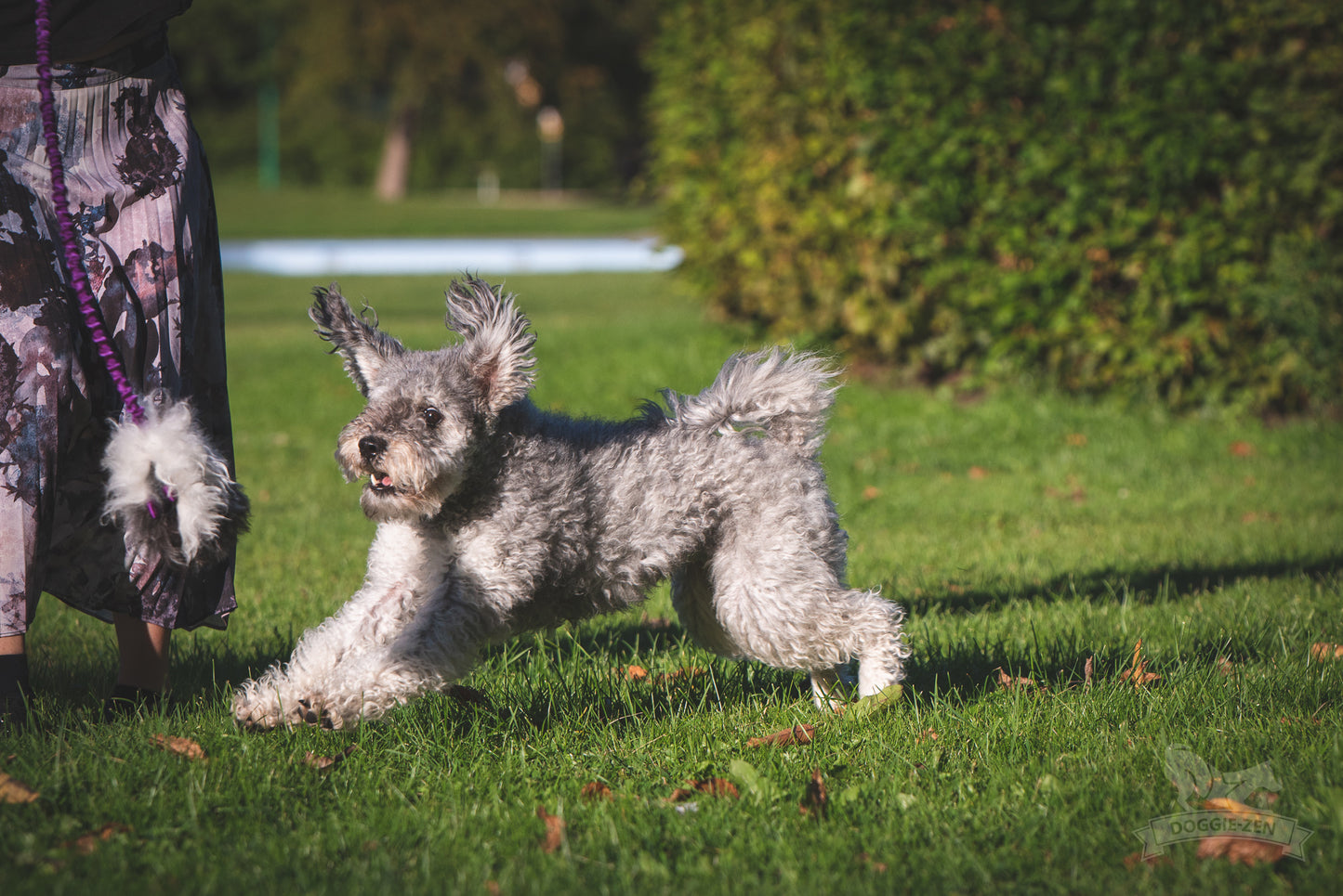 Elastisk belønningsjagerkampis med fåreskinn str S