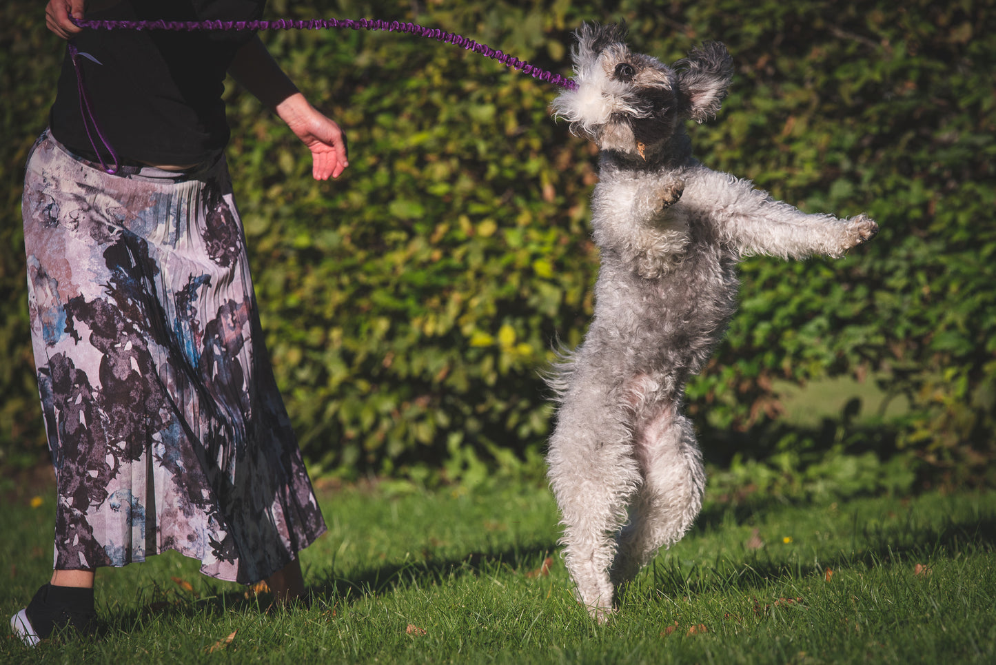 Elastisk belønningsjagerkampis med fåreskinn str S