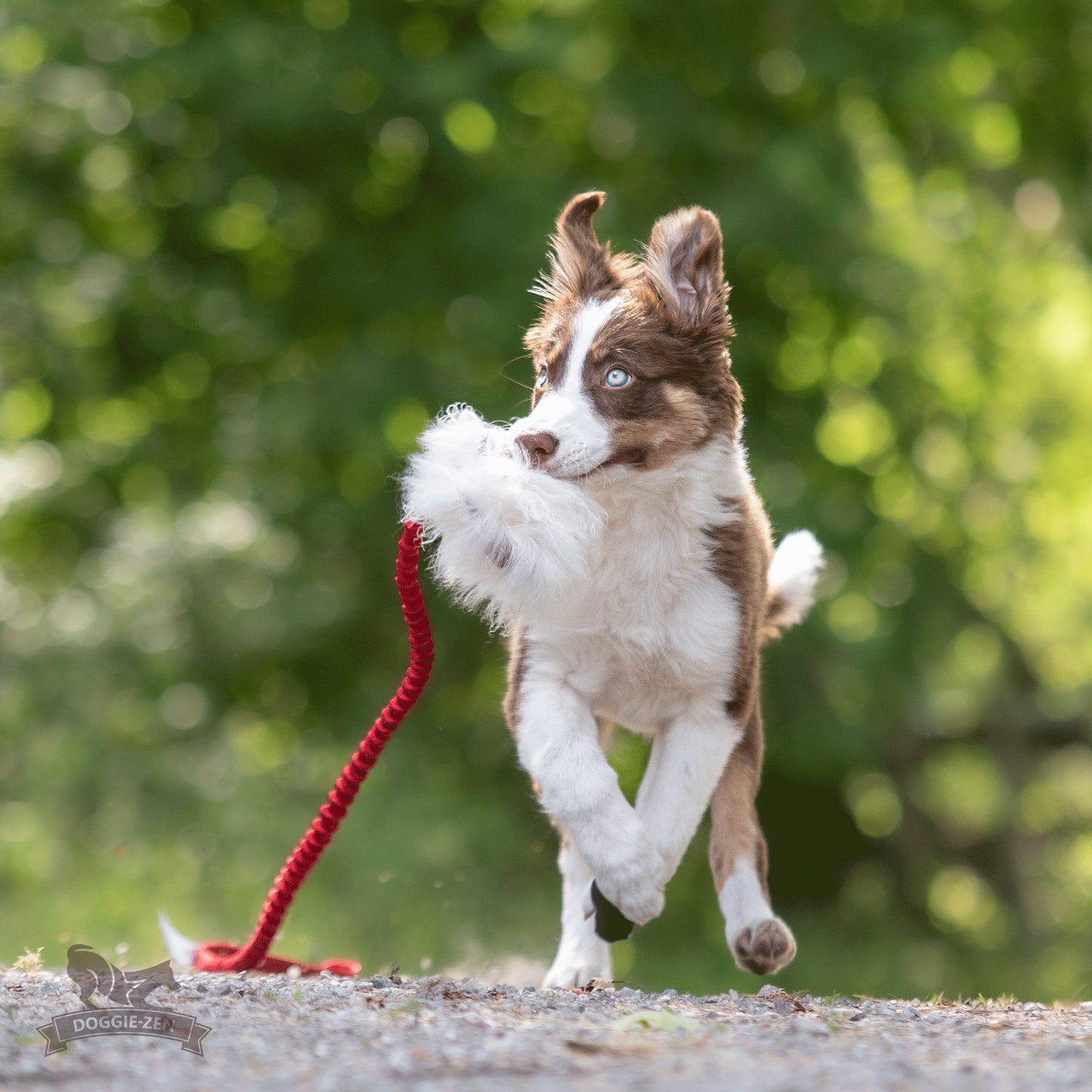 Elastisk belønningsjagerkampis med fåreskinn str S