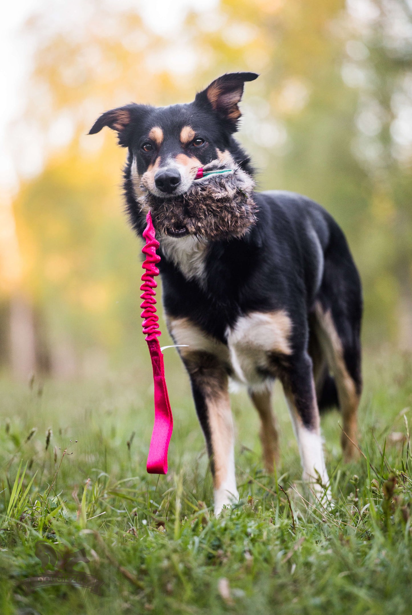 Elastisk belønningskampis med kaninskinn str M