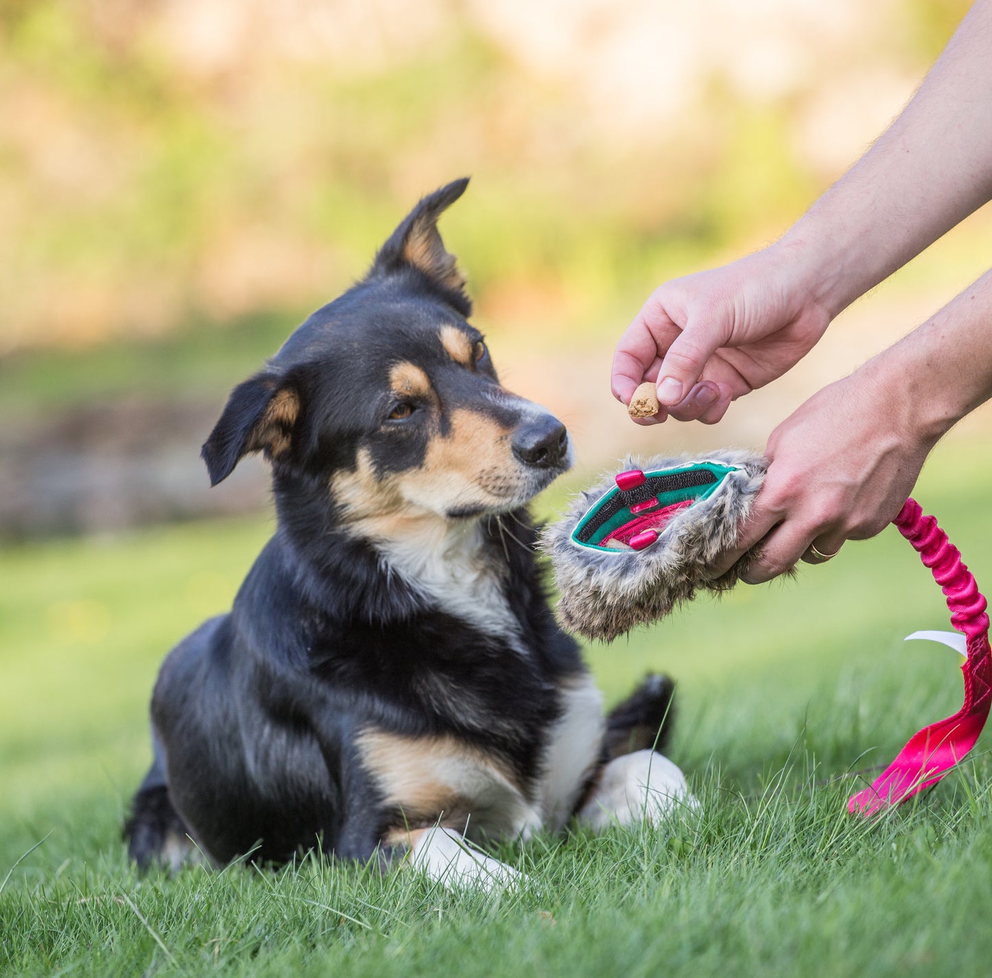 Elastisk belønningskampis med kaninskinn str M
