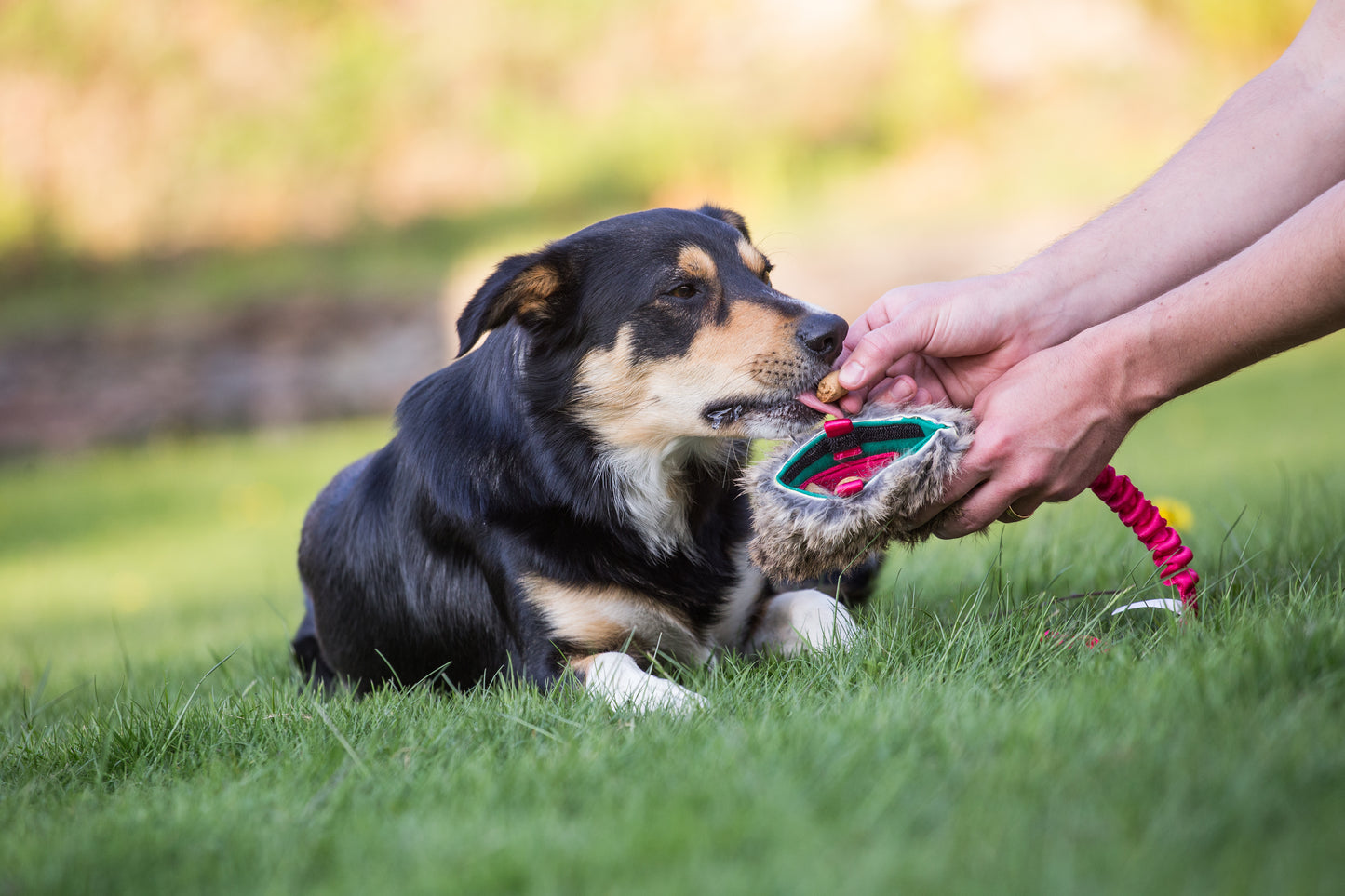 Elastisk belønningskampis med kaninskinn str M