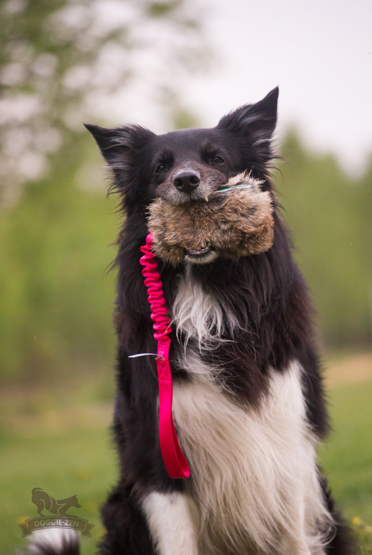 Elastisk belønningskampis med kaninskinn str M