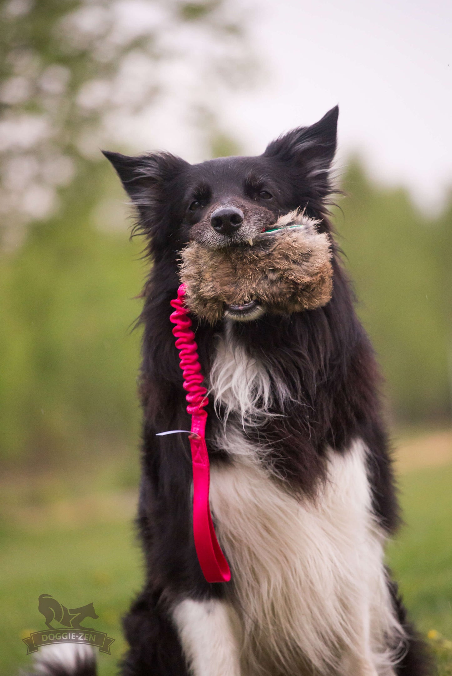 Elastisk belønningskampis med kaninskinn str M