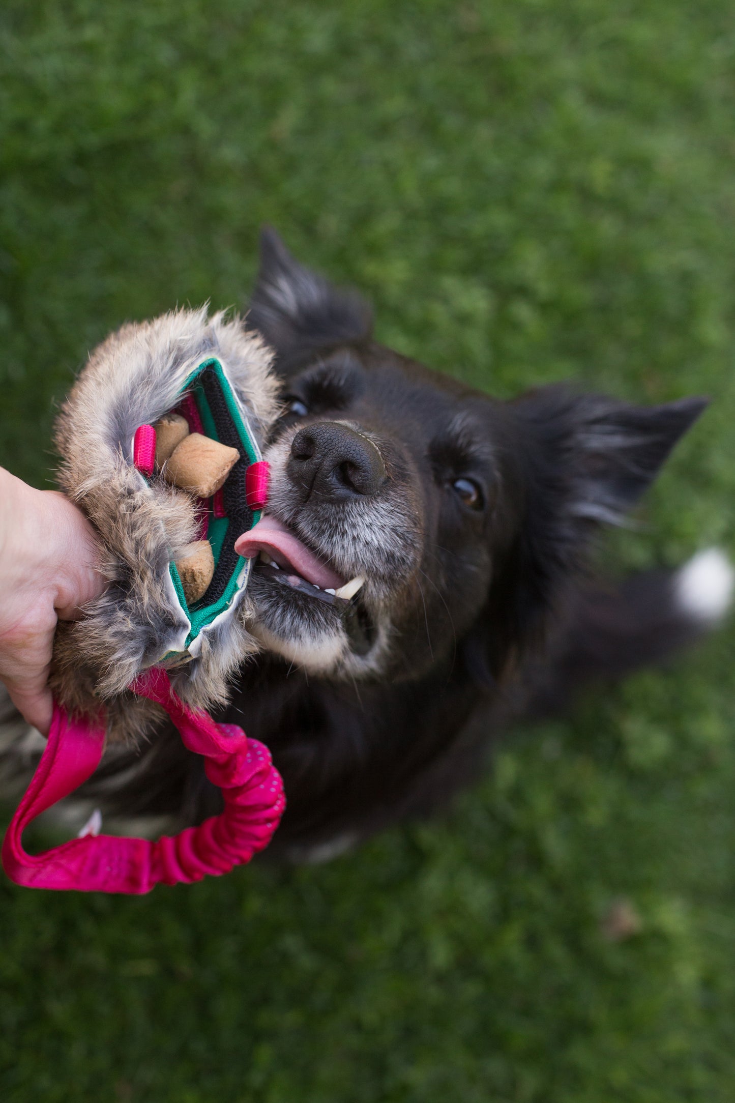 Elastisk belønningskampis med kaninskinn str M
