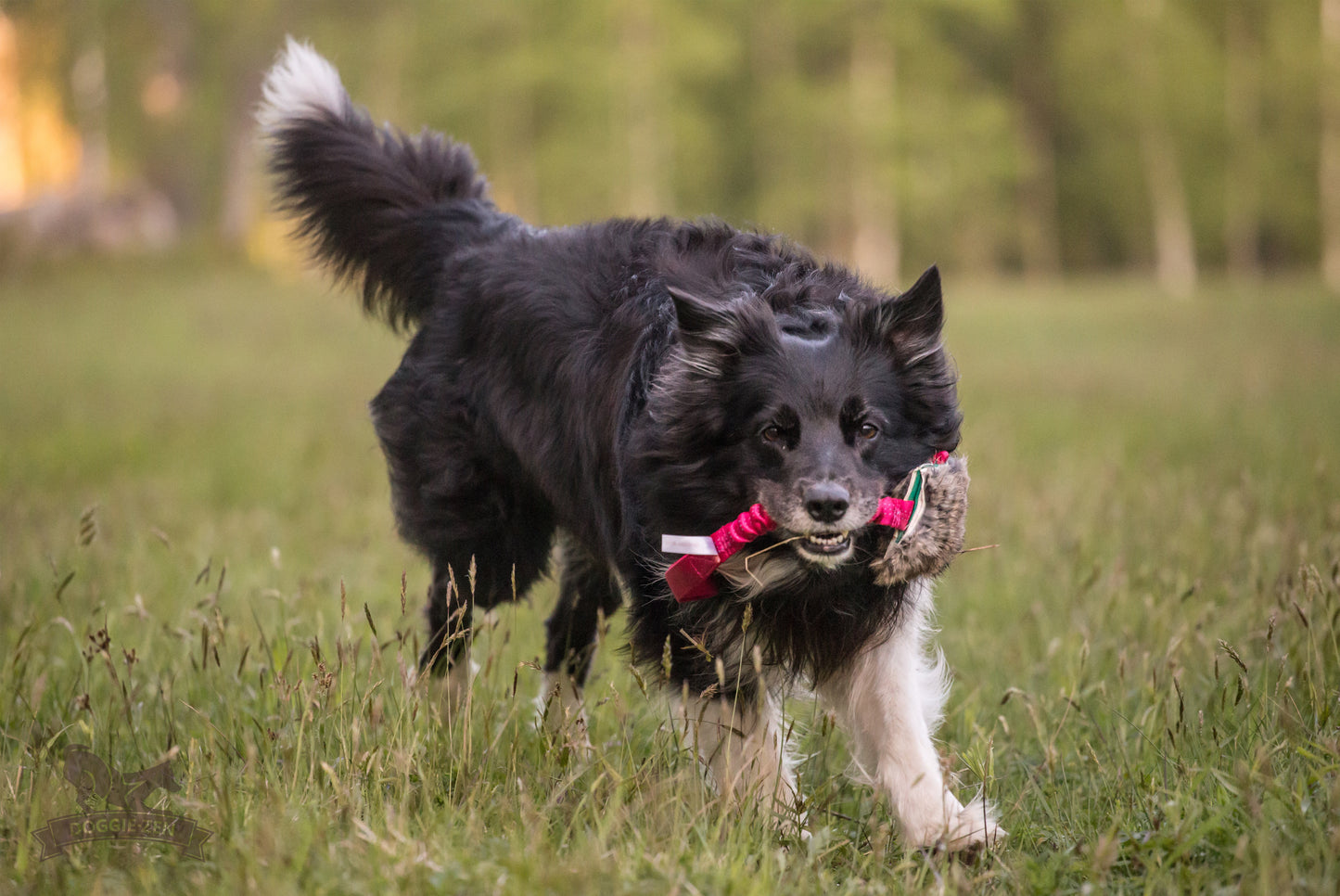 Elastisk belønningskampis med kaninskinn str M